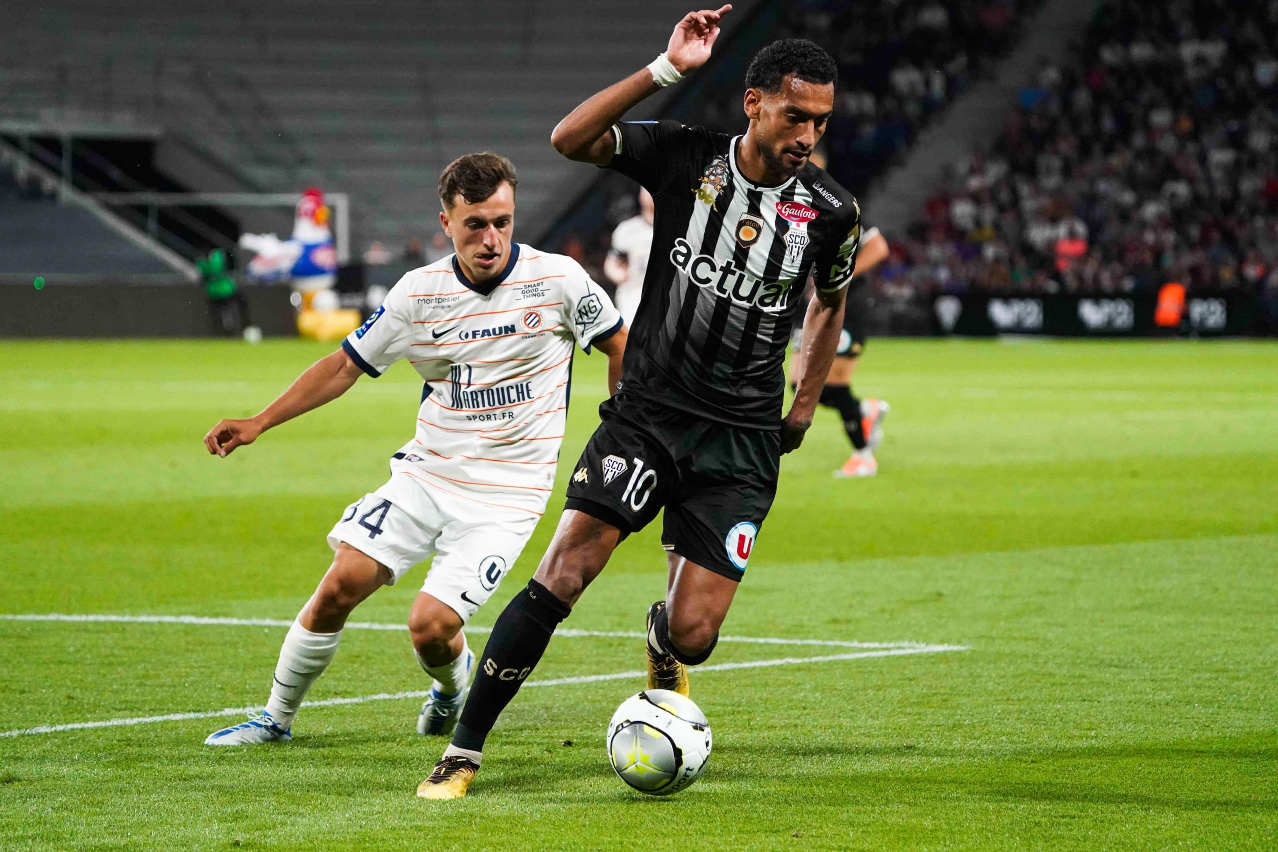 Merci Angelo ! - Angers SCO