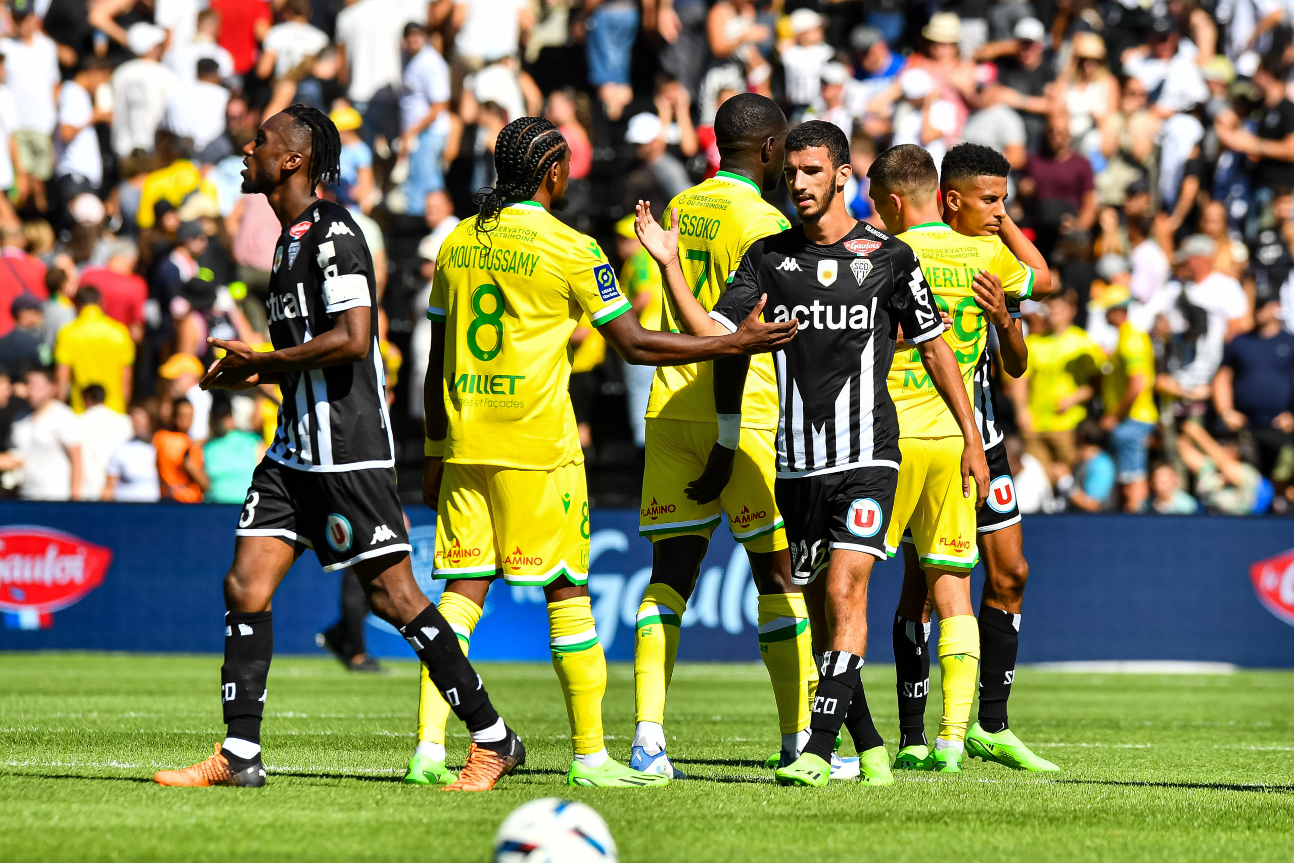 Angers SCO - Toulouse FC : Le groupe - Angers SCO