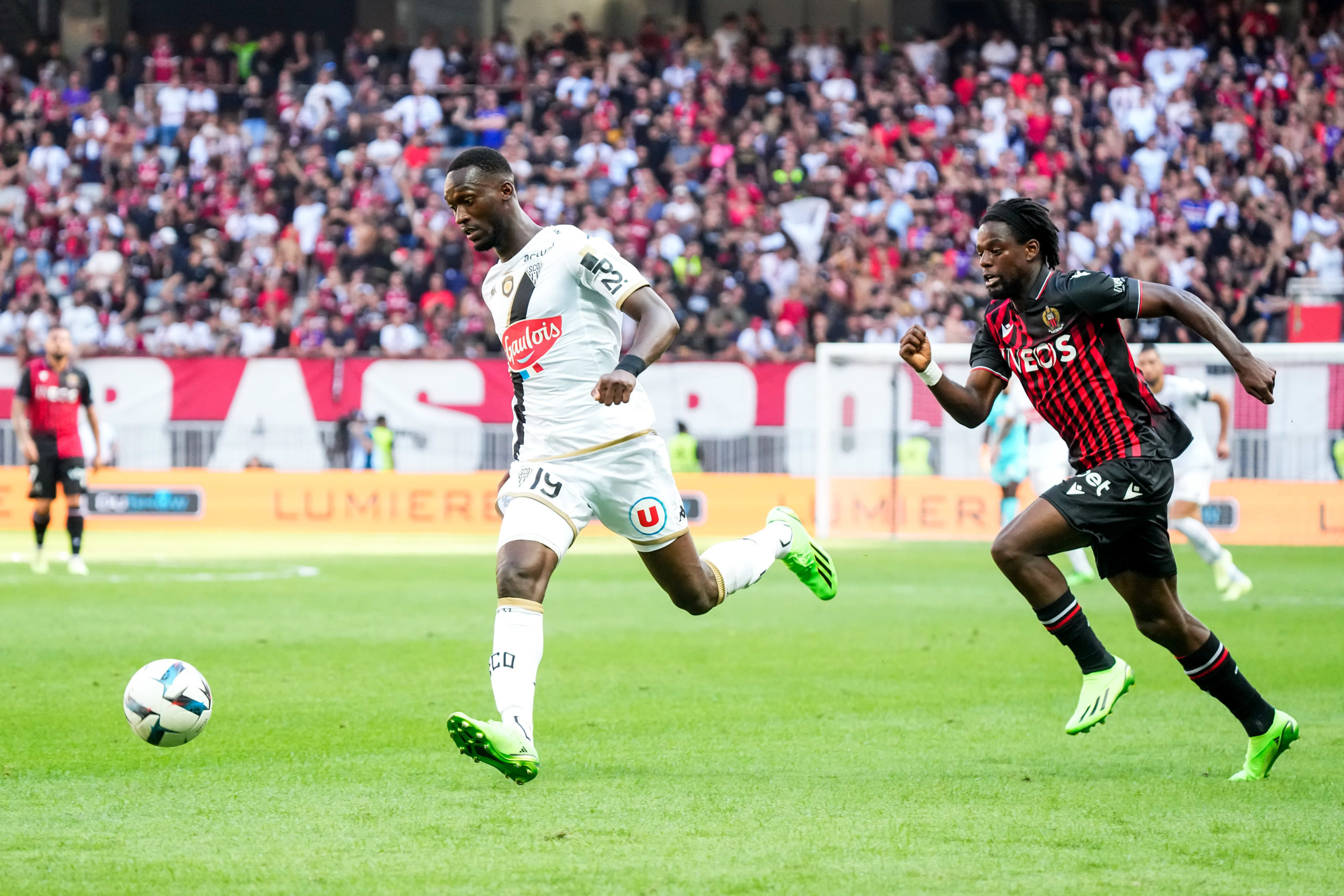 La programmation d'Angers-Nice en L1 est connue ! - Angers SCO